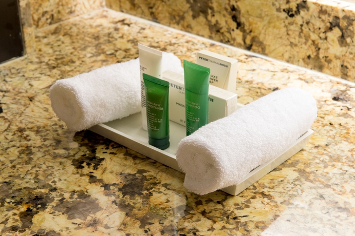 Imagen de la habitación del Hotel Hilton Panama. Foto 8