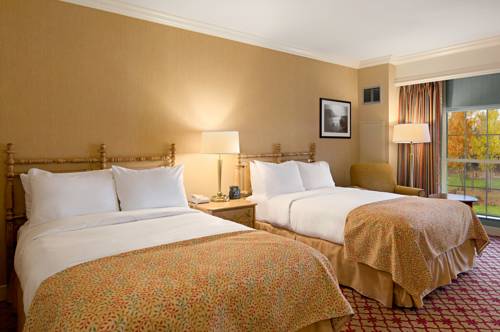Imagen de la habitación del Hotel Hilton Pearl River. Foto 3