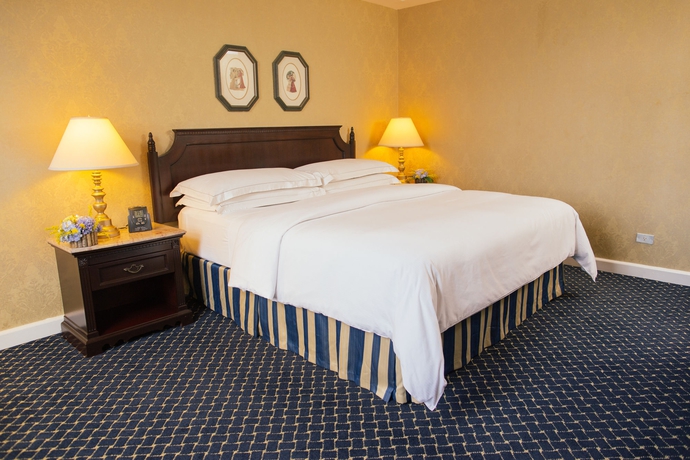 Imagen de la habitación del Hotel Hilton Princess Managua. Foto 11