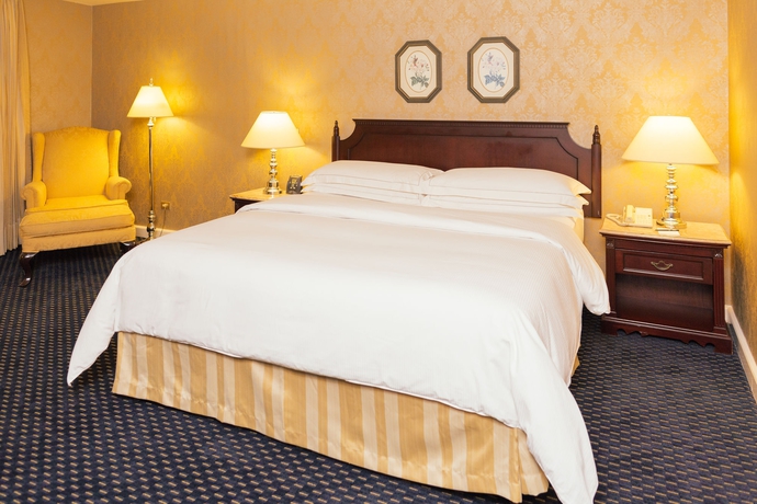 Imagen de la habitación del Hotel Hilton Princess Managua. Foto 13