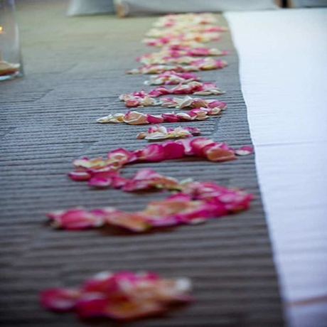 Imagen de los interiores del Hotel Hilton San Jose. Foto 10