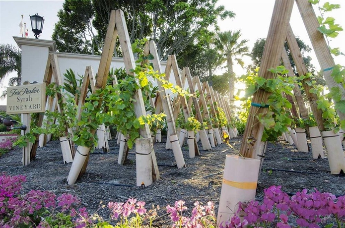 Imagen de los exteriores del Hotel Hilton Santa Barbara Beachfront Resort. Foto 8