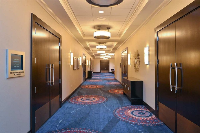Imagen de los interiores del Hotel Hilton Springfield. Foto 7