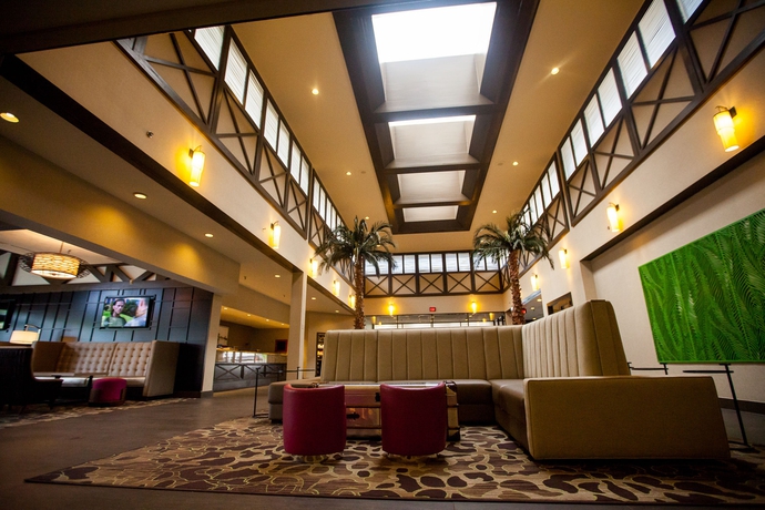 Imagen de los interiores del Hotel Hilton Tampa Airport Westshore. Foto 7