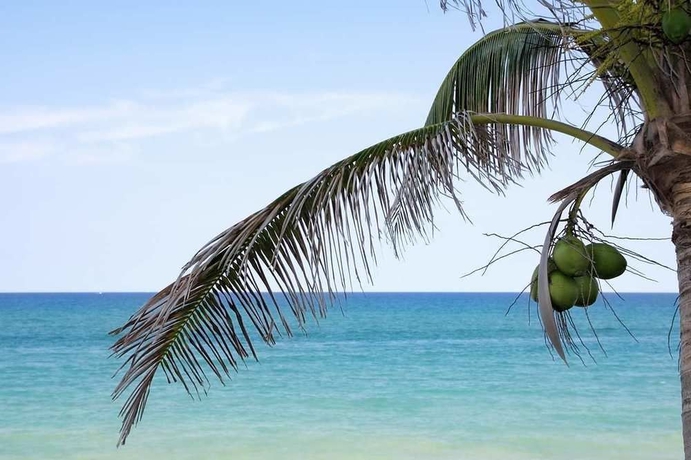 Imagen de los exteriores del Hotel Hilton Tampa Airport Westshore. Foto 6