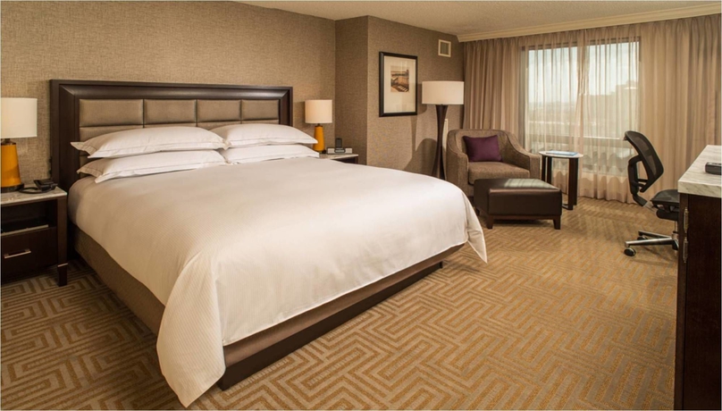 Imagen de la habitación del Hotel Hilton Tampa Downtown. Foto 5