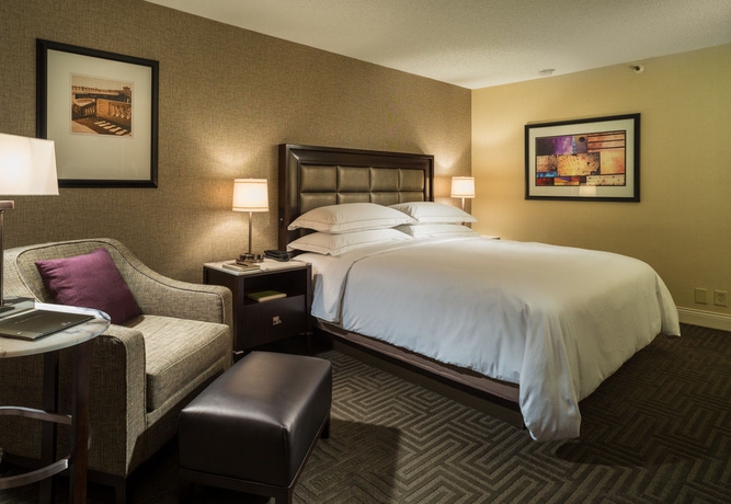 Imagen de la habitación del Hotel Hilton Tampa Downtown. Foto 7