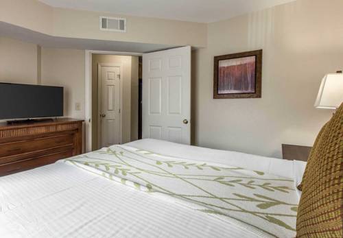 Imagen de la habitación del Hotel Hilton Vacation Club MountainLoft Gatlinburg. Foto 12