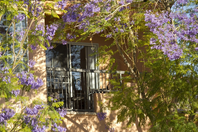 Imagen de los exteriores del Hotel Hilton Vacation Club Scottsdale Villa Mirage. Foto 9