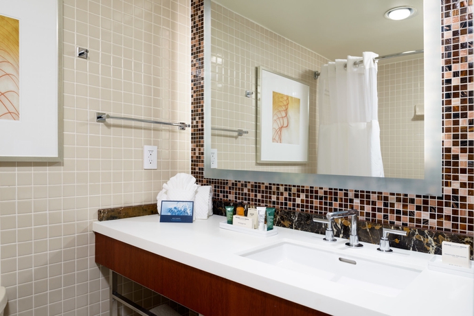 Imagen de la habitación del Hotel Hilton Washington Dulles Airport. Foto 4