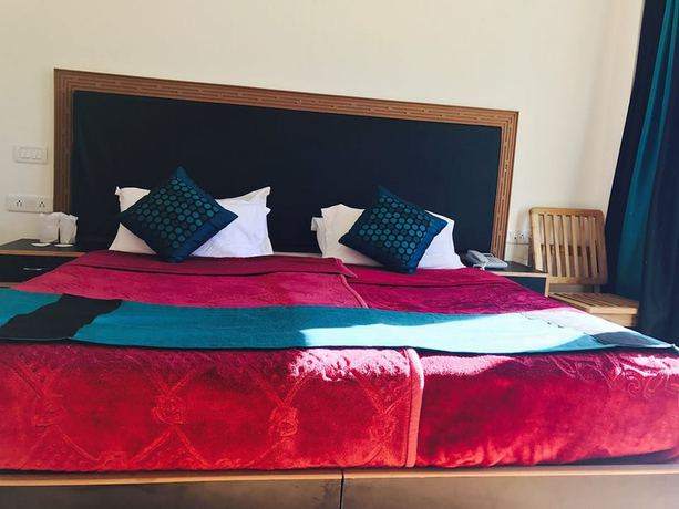 Imagen de la habitación del Hotel Himalayan Residency Ladakh. Foto 10
