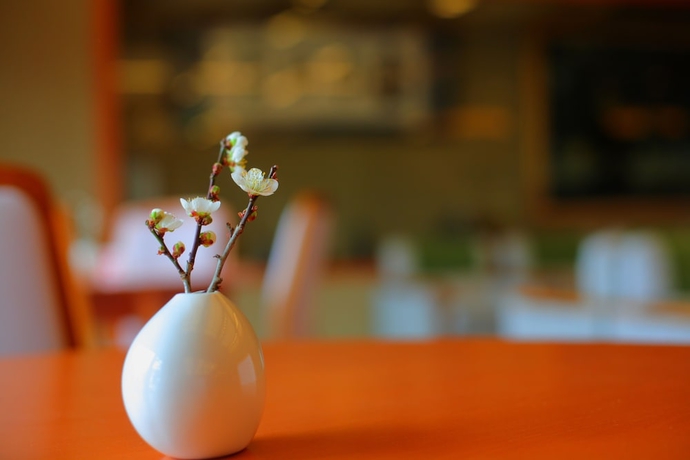 Imagen de los interiores del Hotel Himi Onsenkyo Uomeguri No Yado Eihokaku. Foto 9