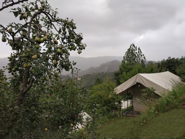Imagen general del Hotel Himview Camp. Foto 2