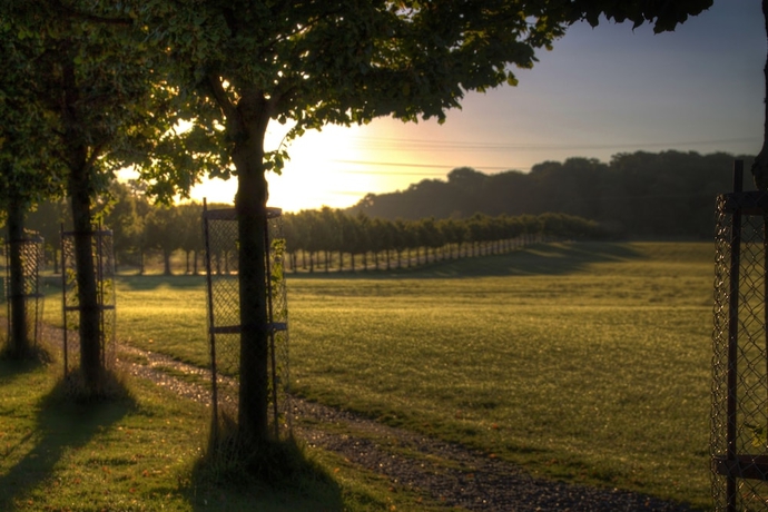 Imagen de los exteriores del Hotel Hindsgavl Slot. Foto 11