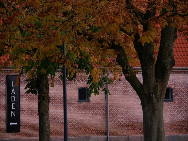 Imagen de los exteriores del Hotel Hindsgavl Slot. Foto 12