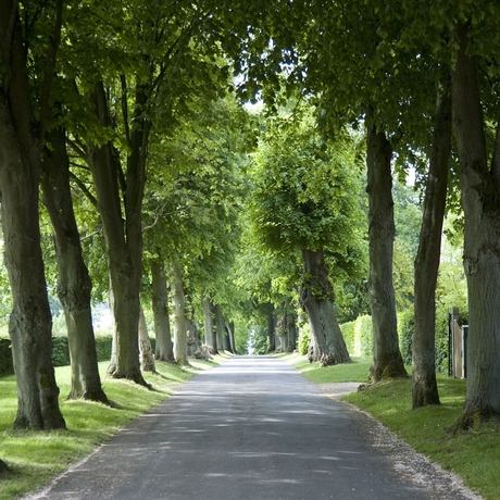 Imagen de los exteriores del Hotel Hindsgavl Slot. Foto 16