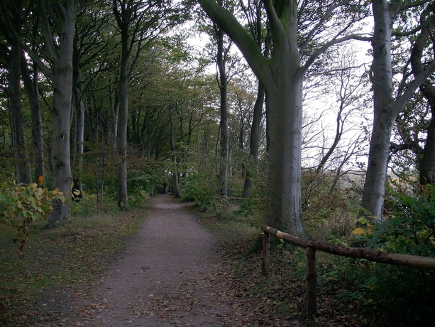 Imagen de los exteriores del Hotel Hindsgavl Slot. Foto 18