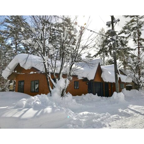Imagen general del Hotel Hinoki Cabin Hakuba. Foto 3