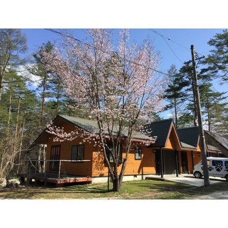 Imagen general del Hotel Hinoki Cabin Hakuba. Foto 9