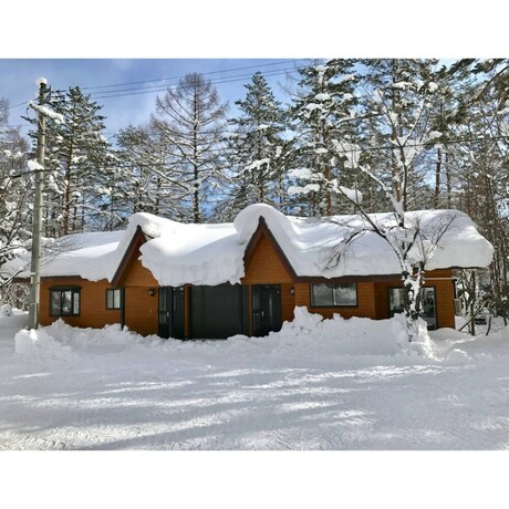 Imagen general del Hotel Hinoki Cabin Hakuba. Foto 11