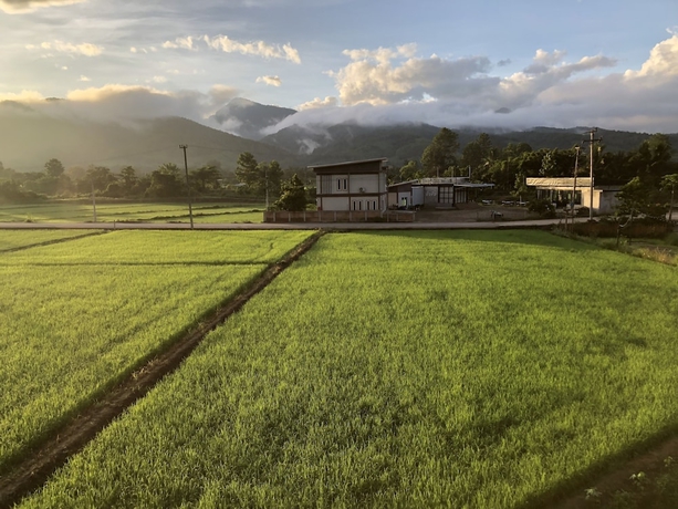 Imagen general del Hotel Hinpha homestay. Foto 5