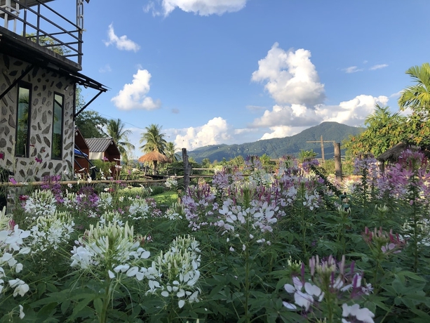 Imagen general del Hotel Hinpha homestay. Foto 7