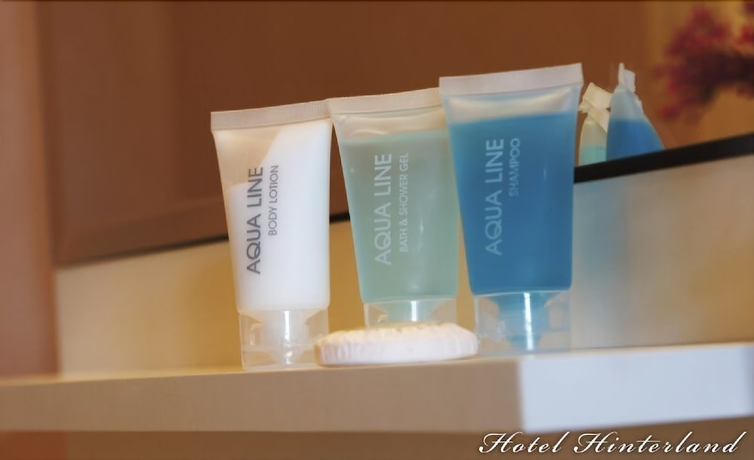 Imagen de la habitación del Hotel Hinterland. Foto 13