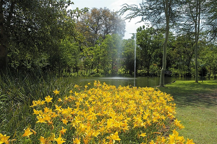 Imagen de los exteriores del Hotel Hippo Hollow Country Estate. Foto 13