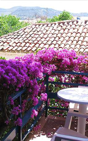 Imagen de la habitación del Hotel Hippocampus, Aegina. Foto 6