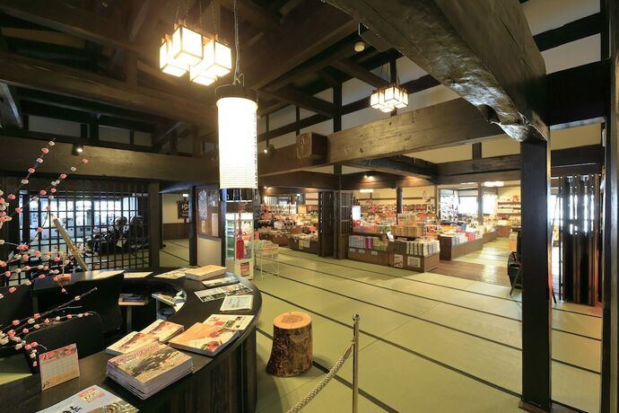 Imagen general del Hotel Hirayunomori. Foto 7