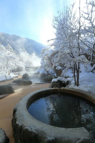 Imagen general del Hotel Hirayunomori. Foto 12