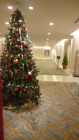 Imagen de los interiores del Hotel Hiroshima Airport. Foto 11