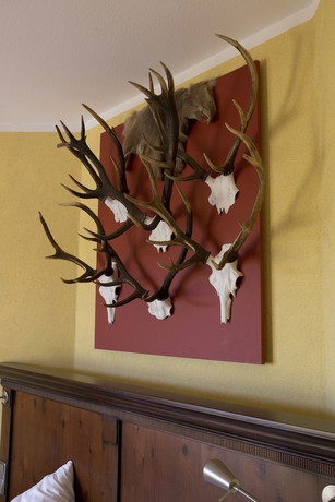 Imagen de la habitación del Hotel Hirsch, Oberzent. Foto 12