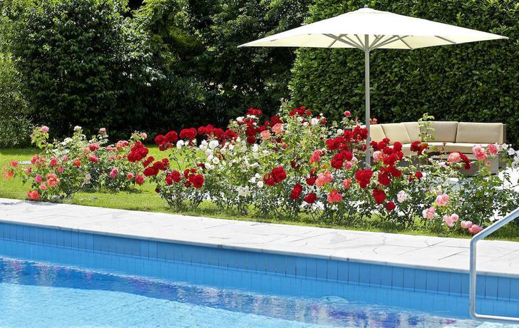 Imagen general del Hotel Hirschen, Friburgo. Foto 6