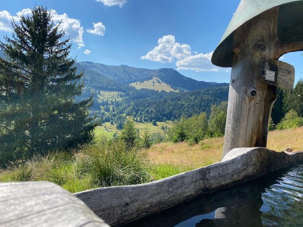 Imagen general del Hotel Hirschen Menzenschwand. Foto 4