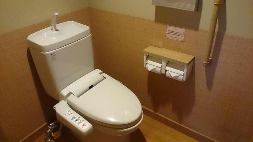 Imagen de la habitación del Hotel Hirugami Grand Hotel Tenshin. Foto 16