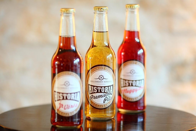 Imagen general del Hotel Historia Malomkert. Foto 13