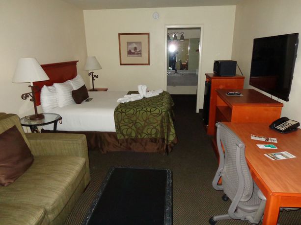 Imagen de la habitación del Hotel Historic Coronado Motor Hotel by OYO. Foto 10