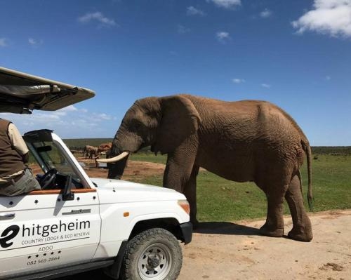 Imagen general del Hotel Hitgeheim Country Lodge and Eco Reserve. Foto 2