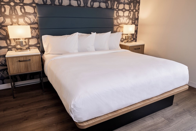 Imagen de la habitación del Hotel Hive House. Foto 5