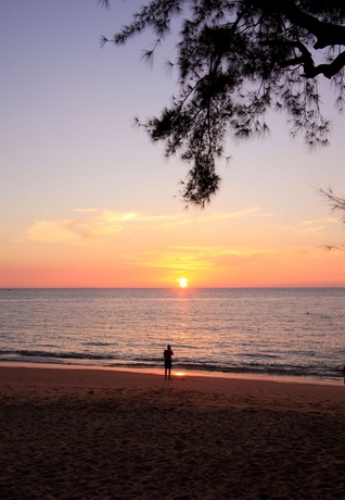 Imagen de los exteriores del Hotel Hive Khaolak Beach Resort. Foto 12