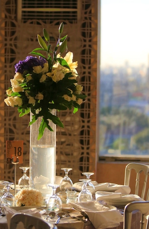 Imagen de los interiores del Hotel Hive and Convention Place. Foto 8
