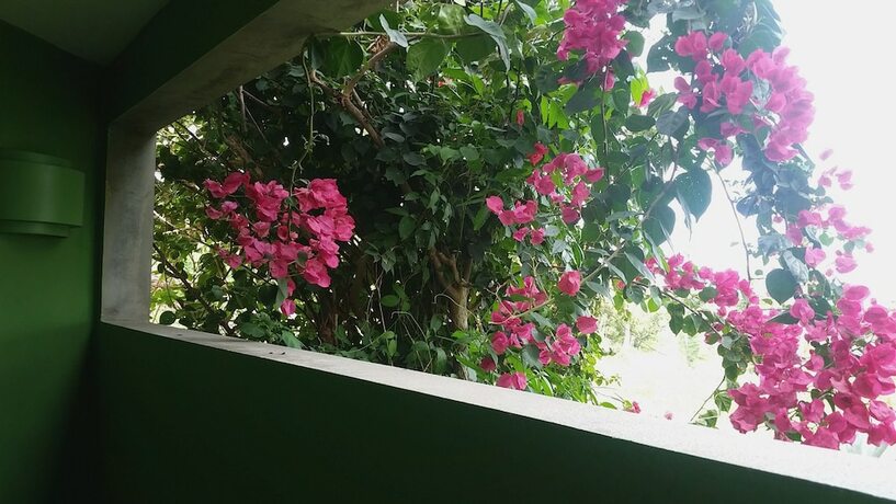 Imagen de la habitación del Hotel Hix Island House. Foto 17