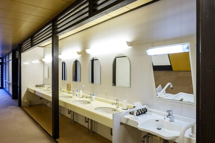 Imagen de la habitación del Hotel Hiyoshi Forest Resort Yamanoie. Foto 19