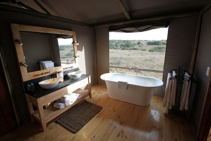 Imagen de la habitación del Hotel Hlosi Game Lodge - Amakhala Game Reserve. Foto 16
