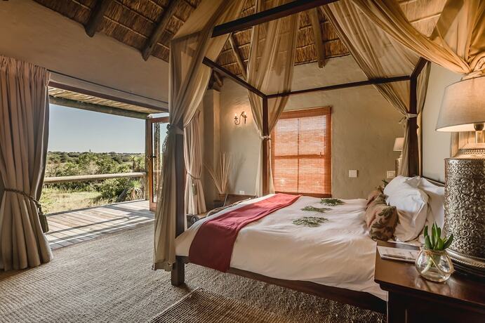 Imagen de la habitación del Hotel Hlosi Game Lodge - Amakhala Game Reserve. Foto 19