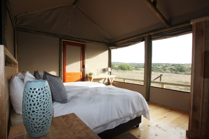 Imagen general del Hotel Hlosi Game Lodge - Amakhala Game Reserve. Foto 7