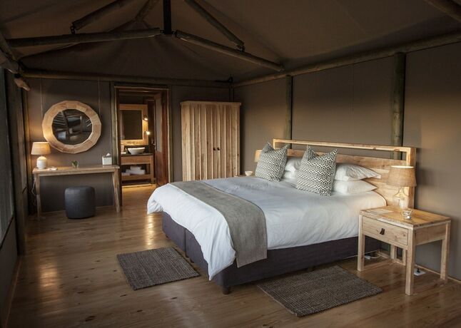 Imagen de la habitación del Hotel Hlosi Game Lodge - Amakhala Game Reserve. Foto 20