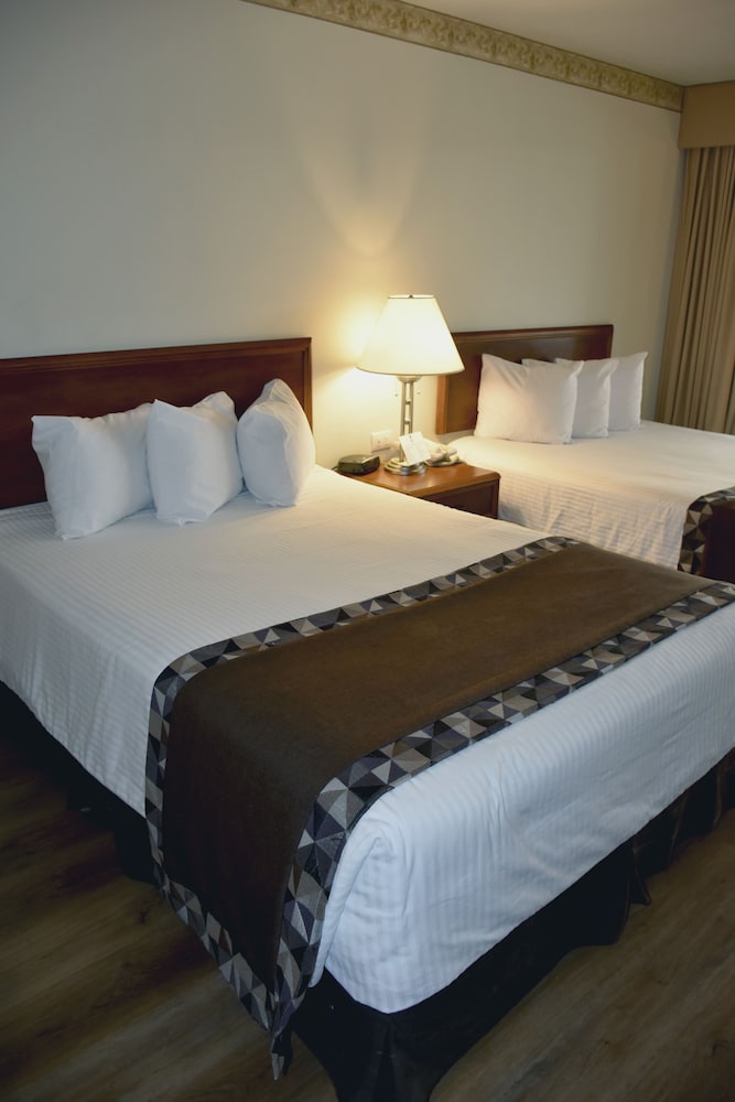 Imagen de la habitación del Hotel Hm Mirador. Foto 8
