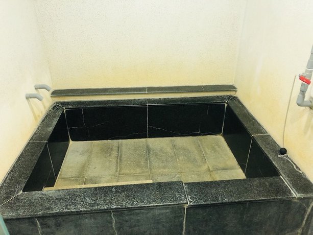 Imagen de la habitación del Hotel Ho Young Hotspring. Foto 8